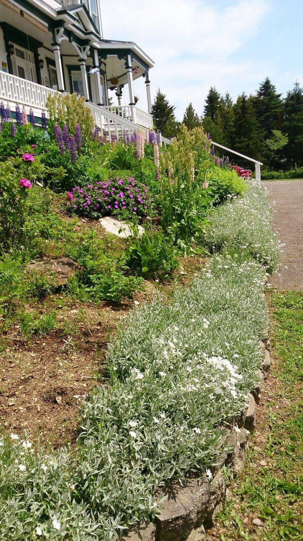 Le Manoir du Vieux Presbytère Port-Daniel Extérieur photo